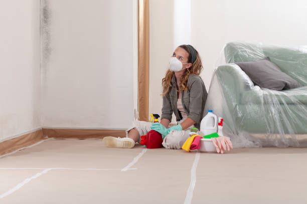 Reliable Mold Inspection contractor in Lyons, NJ by WQB Mold Removal